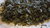 Walderdbeerblätter (Fragaria vesca), geschnitten 100g/Packung